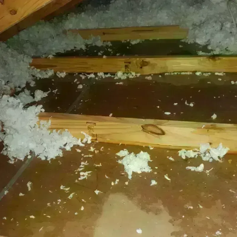 Attic Water Damage in Nashville, GA