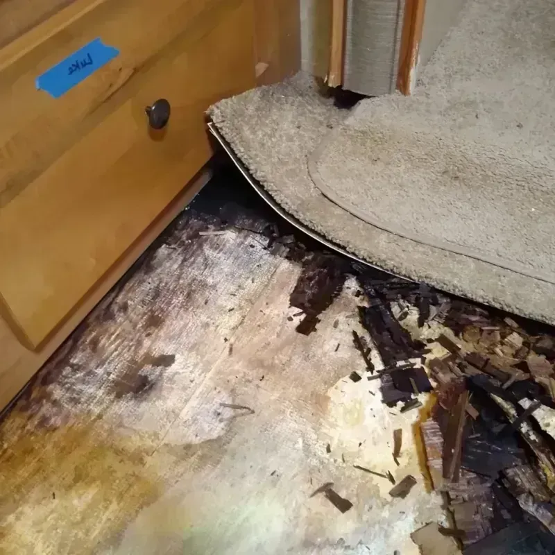 Wood Floor Water Damage in Nashville, GA